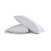 All-In-One Pillow Protector with Bed Bug Blocker 2-Pack by Levinsohn Textiles in White (Size STAND QUEEN)