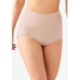 Plus Size Women's Skimp Skamp Brief Panty by Bali in Rosewood (Size 6)