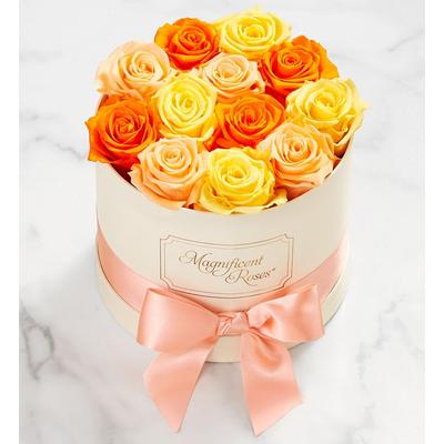 1-800-Flowers Flower Delivery Magnificent Roses Preserved Citrus Roses Magnificent Roses One Dozen Citrus
