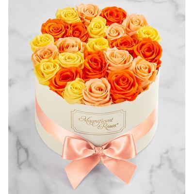 1-800-Flowers Flower Delivery Magnificent Roses Preserved Citrus Roses