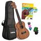 CASCHA HH 2036 FR Premium Mahagoni Konzert Ukulele Bundle mit französischer Ukulelenschule, Stimmgerät, gepolsterter Tasche, 3 Picks und Aquila Qualitäts-Saiten