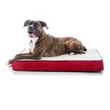 Tucker Murphy Pet™ Cottrell Waterproof Designer Pillow Plastic in Red/Brown | 4 H x 34 W x 22 D in | Wayfair BRMMRS22PB