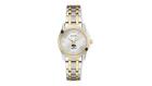 Iowa Hawkeyes Women's Classic Two-Tone Round Watch - Silver/Gold