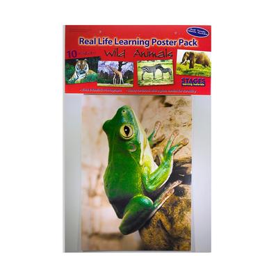 Stages Learning Materials Real Photo Wild Animal Poster Set - Multi