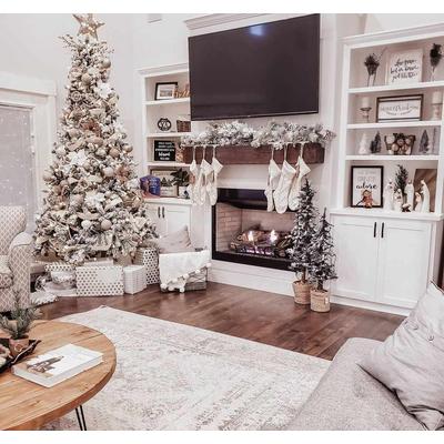 Nelsonville 5'3" x 7'3" Traditional Light Gray/White/Charcoal/LightGray/Light Gray Area Rug - Boutique Rugs