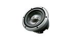 Pioneer Premier TS-W2502D2 10 in. Dual 2-ohm Voice Coil