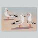 Gulls Sand Rectangle Mat Multi Cool, 30 x 20, Multi Cool