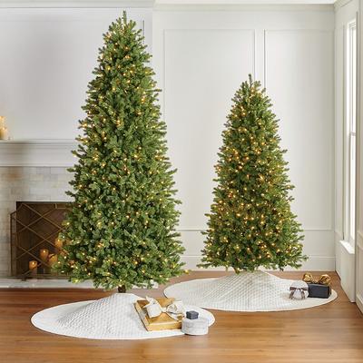 Douglas Fir Slim Profile Tree - 10 Ft. - Frontgate - Christmas Tree