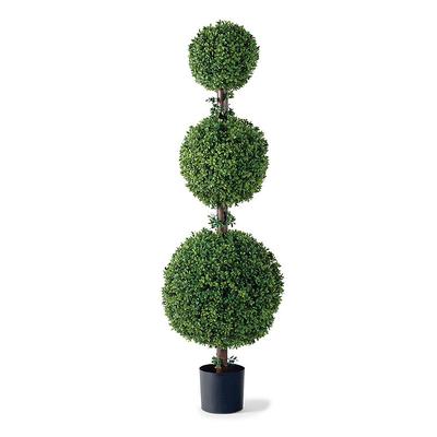 57" Triple Ball Outdoor Boxwood Topiary - Frontgate