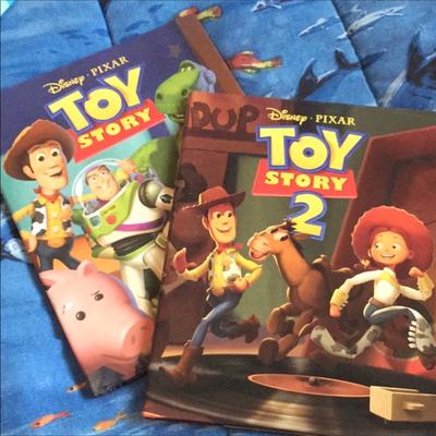 Disney Toys | 2 Toy Story Hardcover Books | Color: Brown | Size: Osb