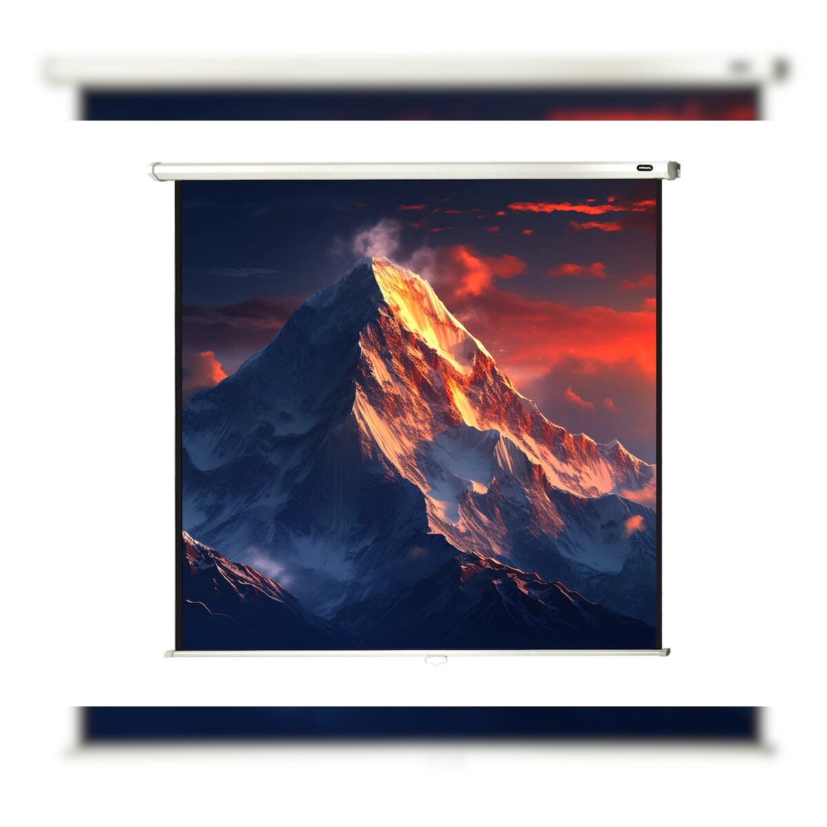 celexon Leinwand Rollo Economy 120 x 120 cm - 67` Image