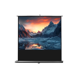 celexon Leinwand Ultramobil Professional 200 x 150 cm Image