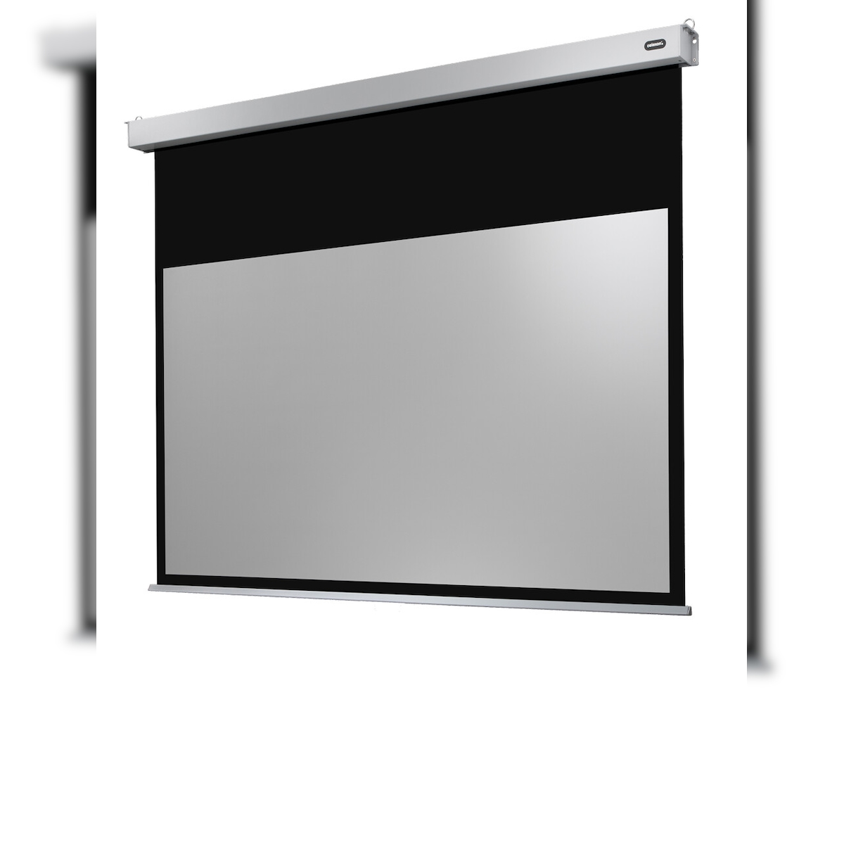 celexon Leinwand Motor Professional Plus 300 x 169 cm Image