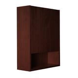 LACAVA Kubista Surface Mount Framed 1 Door Medicine Cabinet w/ 2 Adjustable Shelves Wood in Black/Brown | 24 H x 18 W x 7 D in | Wayfair