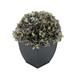 Winston Porter Hydrangea Floral Arrangements in Pot Fabric | 11 H x 10 W x 10 D in | Wayfair 64CB230C4D824508B2FF0B33C9D07E37