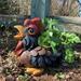 HomeStyles Country Critters Rooster "Lucky" Planter Whimsical Garden Statue Resin/Plastic in Blue/Brown/Red | 16 H x 18 W x 12 D in | Wayfair 76516