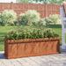 Three Posts™ Barros Cedar Wood Outdoor Raised Garden Bed Planter Box Wood in Brown | 12 x 40 x 12 | Wayfair D3771EE3630B422DA48A50D9ABF9E940