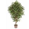 Verdevip - Ficus Artificiale Luxe Giant Variegato, tronco Bosco, in varie altezze. - 250