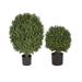 Single Ball Outdoor Boxwood Topiary - 20" - Frontgate