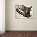 Vault W Artwork "Virginian Opossum" by John James Audubon Painting Print on Wrapped Canvas in White/Black | 35 H x 47 W x 2 D in | Wayfair