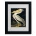 Vault W Artwork 'American White Pelican' by John James Audubon Framed Painting Print Canvas | 14 H x 11 W x 0.5 D in | Wayfair BL01258-B1114MF