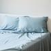 BedVoyage Luxury 100% viscose from Bamboo Pillowcase Rayon from Bamboo in Blue | 20 H x 30 W in | Wayfair 15981530