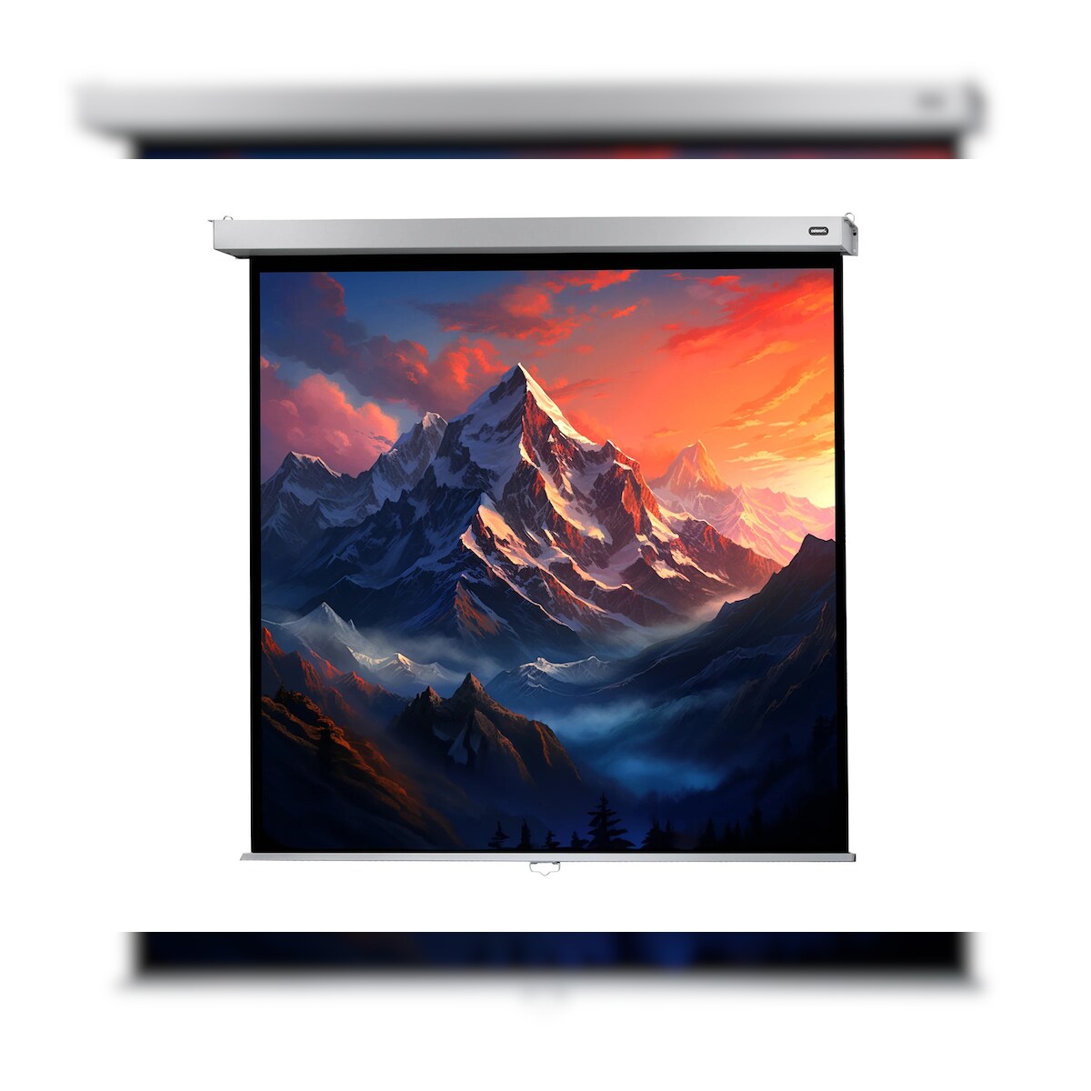 celexon Leinwand Rollo Professional Plus 120 x 120 cm - 67` Image