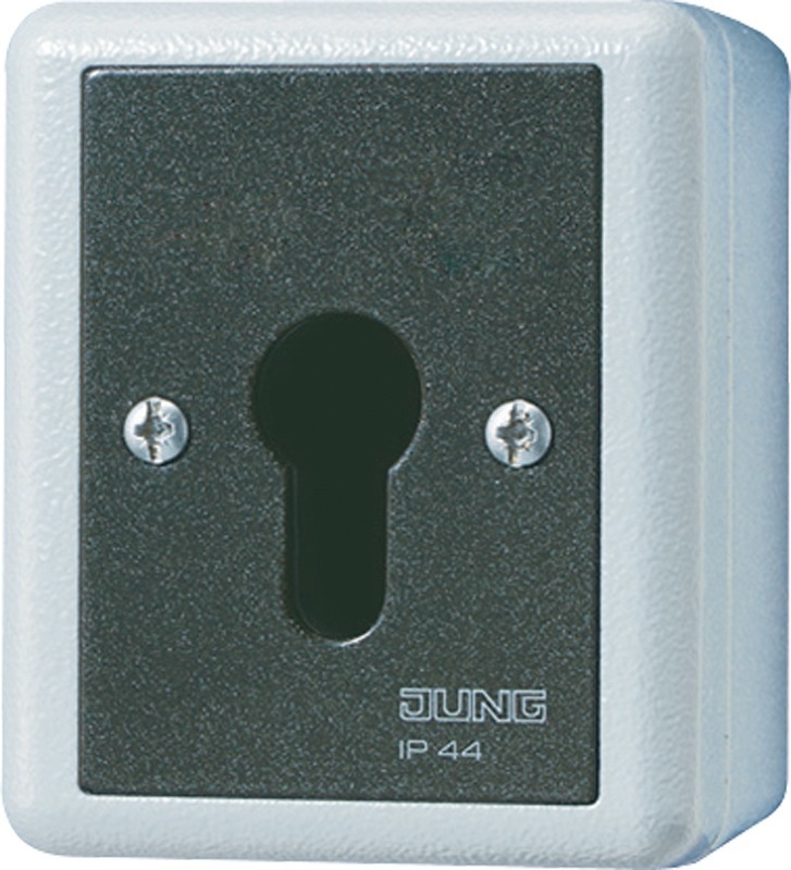 Jung Schlüsselschalter 806.28 G 806.28G Image