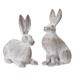 Arlmont & Co. Suki Rabbit 2 Piece Garden Statue Set Resin/Plastic/ in White | 17 H x 7.5 W x 13.5 D in | Wayfair FBB75A1705104659976A550A24A49402
