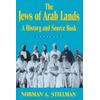 The Jews Of Arab Lands: A History And Source Book
