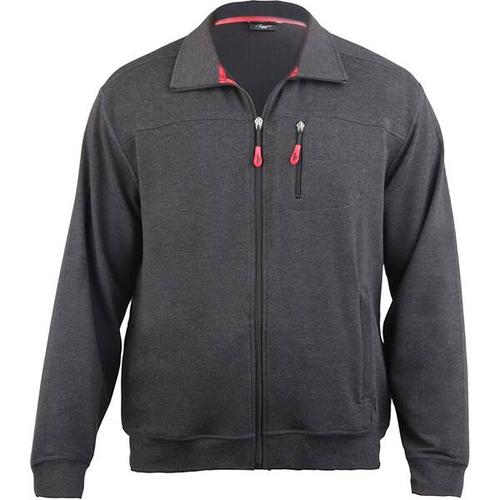 AUTHENTIC KLEIN Herren Sport- u. Freizeitjacke, Größe 27 in Grau