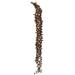 Vickerman 650745 - 36-44" Natural Curled Ladder Branch 5Pk (H2LXC000) Dried and Preserved Branches