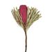 Vickerman 656716 - 12" EricaPink Banksia Flower Stem 3/PK (H1BAJ400-3) Dried and Preserved Flowering Plants