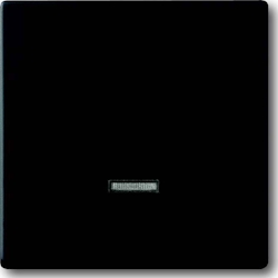 Busch-Jaeger Bedienelement 6543-885-101 2CKA006599A2968 Image