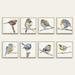 Birds of a Feather Art - Print III, 18" x 18" - Ballard Designs 18" x 18" - Ballard Designs