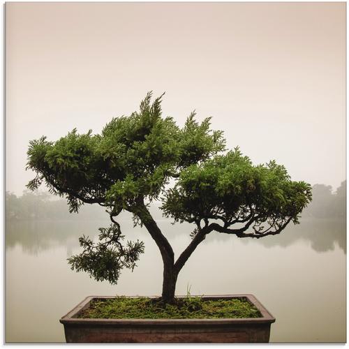 Artland Glasbild Chinesischer Bonsaibaum, Bäume, (1 St.) grün Glasbilder Bilder Bilderrahmen Wohnaccessoires