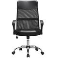 Yaheetech Black Adjustable Office Chair Executive Computer Chair Mesh Chair High Back with Armrest and Comfortable Lumbar Support for Home Office Study, 135 Capacity
