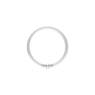 Philips TL5 Circular 60W Sockel 2GX13 4000K dimmbar