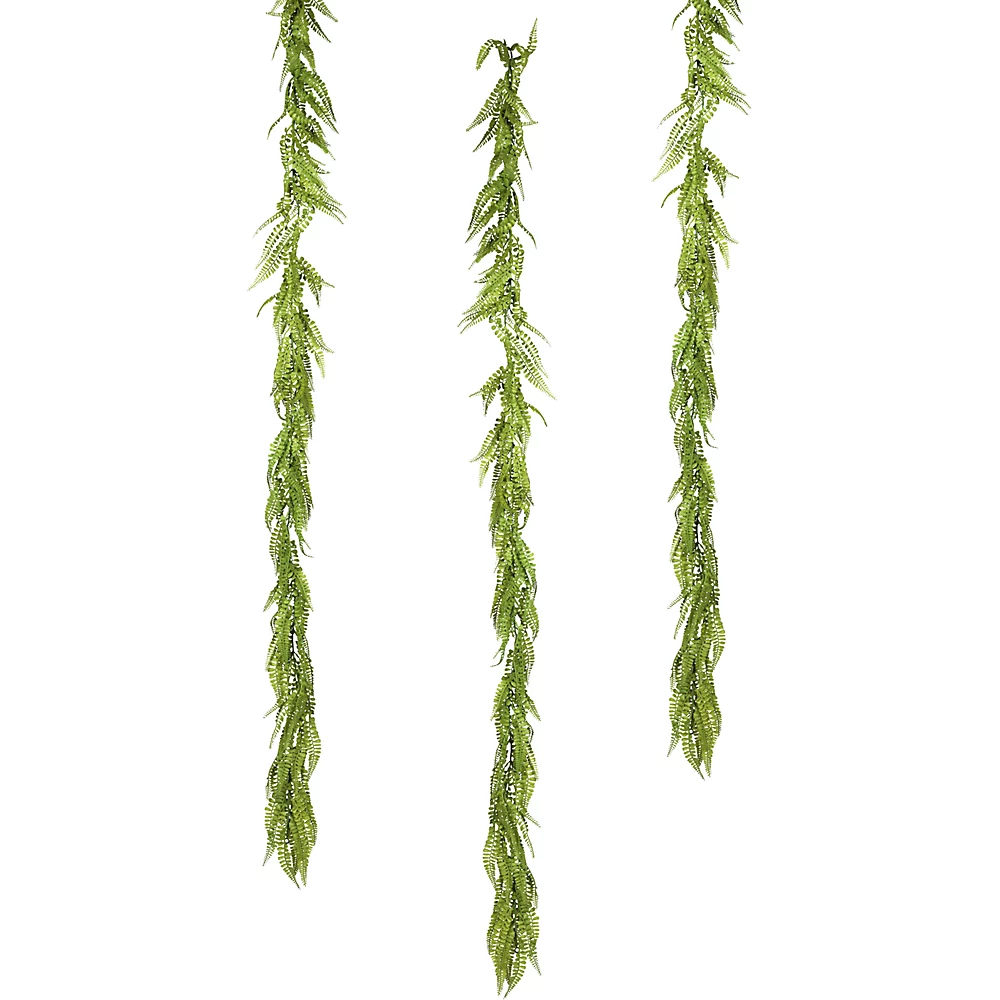 Guirlande d'adiantum - kaiserkraft