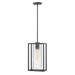 Hinkley Pax Satin Black 1 -Bulb 15.25" H Outdoor Pendant Glass/Aluminium/Metal in Black/Gray | 15.25 H x 9 W x 5 D in | Wayfair 1252SK