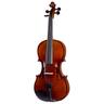 Stentor SR1542 Violin Graduate 4/4