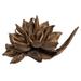 Vickerman 651452 - 6" Natural Star Pod (H2STA000) Dried and Preserved Pods