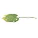 Northlight Seasonal 26.5" Yellow & Green Artificial Split-Leaf Philodendron Spray Plastic | 31.5" H x 13" W x 13" D | Wayfair 32744731