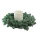 Northlight Seasonal Frosted Pine Artificial Christmas Wreath - 16-Inch Unlit Traditional Faux in Green | 16 H x 16 W x 3 D in | Wayfair 32620395