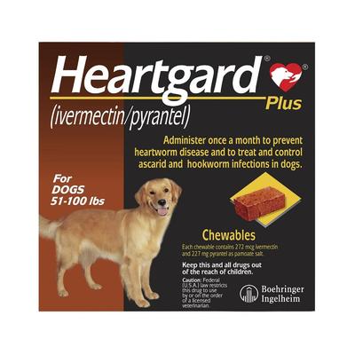 Heartgard Plus For Large Dogs 51-100lbs (Brown) 6 ...