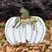 The Holiday Aisle® Standing Flat Pumpkin Figurine Metal in Green/White | 18 H x 19 W x 2 D in | Wayfair 4C33034A8B0B425C9E863DADAF067823