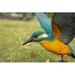 Hi-Line Gift Ltd. Flying-off Kingfisher Statue in Blue | 11.02 H x 6.89 W x 7.48 D in | Wayfair 87758-J