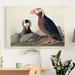 Gracie Oaks 'Pl 249 Tufted Auk' - Wrapped Canvas Print Canvas, Solid Wood in Black/Brown/Gray | 12 H x 8 W x 1 D in | Wayfair