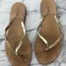 J. Crew Shoes | J Crew Gold Leather Flip Flops | Color: Gold/Tan | Size: 8