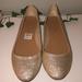 American Eagle Outfitters Shoes | Gold Flats | Color: Gold | Size: 9